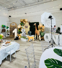 Load image into Gallery viewer, Party room rental in toronto